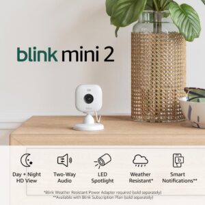 Blink Mini 2 (Newest Model) — Home Security & Pet Camera(s) with HD video, color night view, motion detection, two-way audio, and built-in spotlight — 1 camera (White)