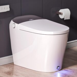 EPLO Smart Toilet - Elongated Heated Seat, Auto Flush,Kick Flush,Warm Wash, Modern One piece Toilet with Bidet built in, ADA Comfort Height for Bathroom, Blackout can Flush, Night Light, LED Display