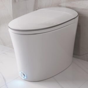 DeerValley Smart Toilet, Elongated One Piece Toilet, Auto/Blackout Flush, Foot Kick Sensor, Heated Seat, Night Light